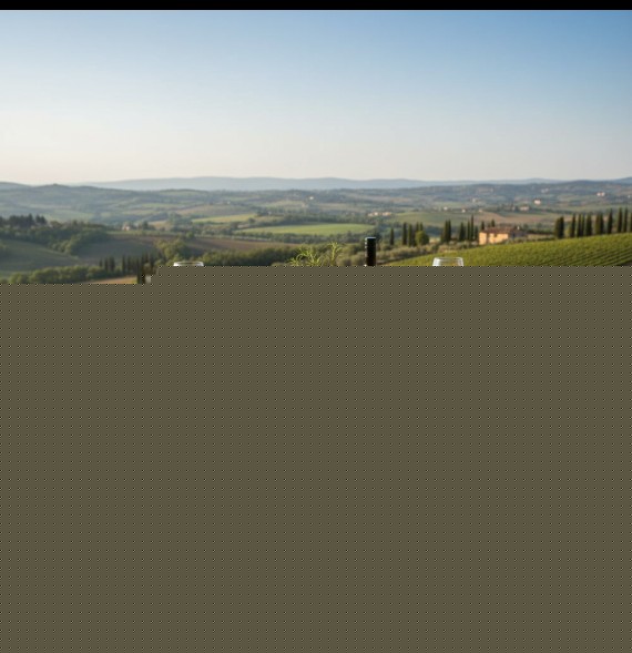 MADE IN ITALY Dekoračná bavlnená látka Letná úroda, š. 140 cm Viacfarebná Šírka 140 cm