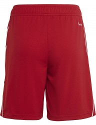 Detské športové kraťasy Adidas R6019 #1