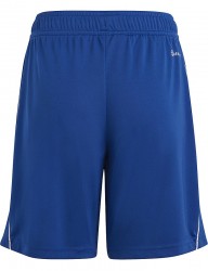 Detské športové kraťasy Adidas R6021 #1