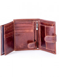 Hnedá pánska peňaženka N6846 #5