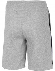 Pánske športové kraťasy 4F R1734 #1