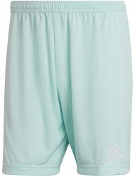 Pánske športové kraťasy Adidas R3705