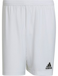 Pánske športové kraťasy Adidas R3707