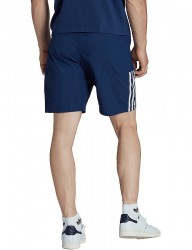 Pánske športové kraťasy Adidas R6225 #1