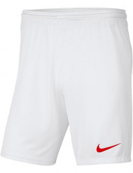 Pánske športové kraťasy Nike A5017