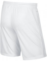 Pánske športové kraťasy Nike M6999 #1