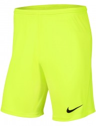 Pánske športové kraťasy Nike M9763