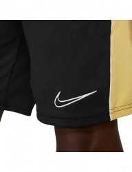 Pánske športové kraťasy Nike R1766 #5