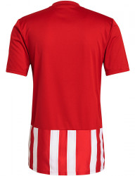 Pánske športové tričko Adidas R0869 #1