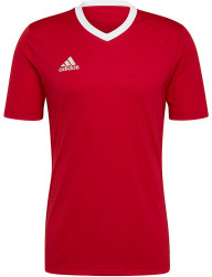 Pánske športové tričko Adidas R3767