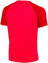 Pánske športové tričko Nike R3631 #1