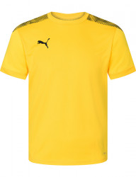 Pánske športové tričko Puma T0878