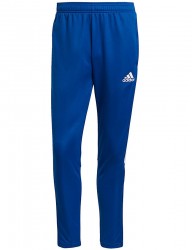 Pánske tepláky Adidas R0501