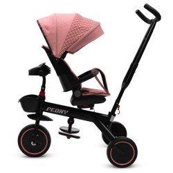 BAZÁRIK Detská trojkolka Baby Mix Peony EVA ružová #5