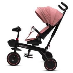 BAZÁRIK Detská trojkolka Baby Mix Peony EVA ružová #6