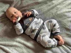 Dojčenská bavlnená mikinka New Baby Ježko sivá #2