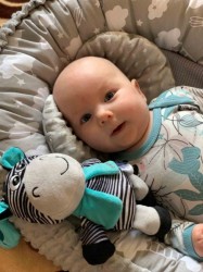 Edukačná hrajúca plyšová hračka s klipom Baby Mix zebra multicolor #1